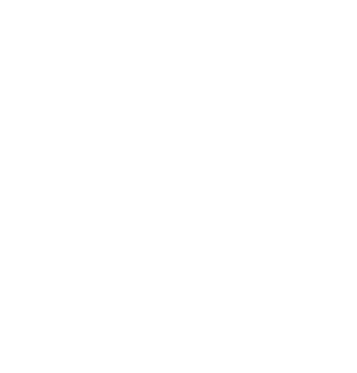 Top Seed Inc
